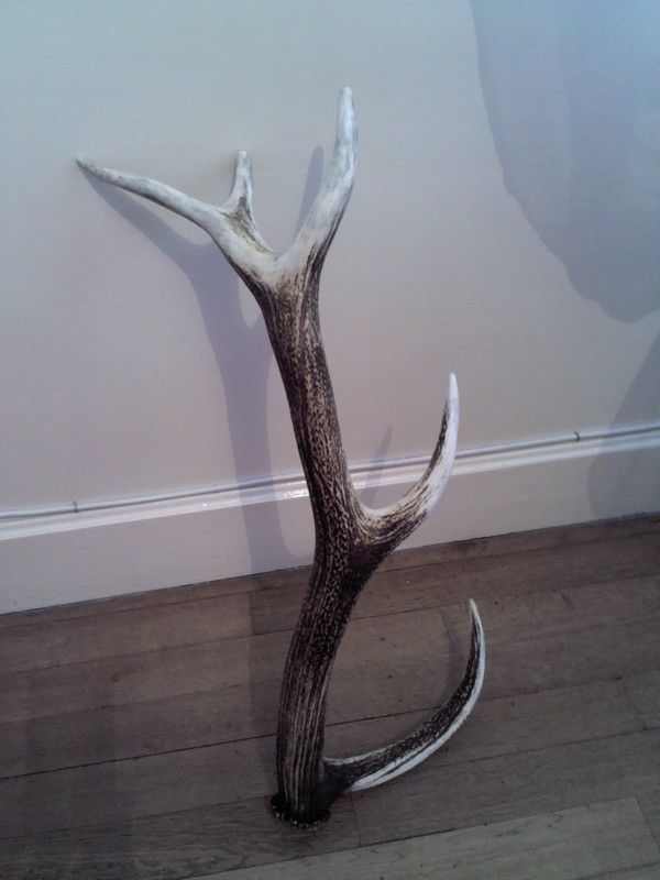 Paire De Bois De Cerf 10 Cors - 81 Cm De Large, Belle Envergure - Occasion, Trophée Ou Décoration